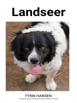 cover image of Landseer